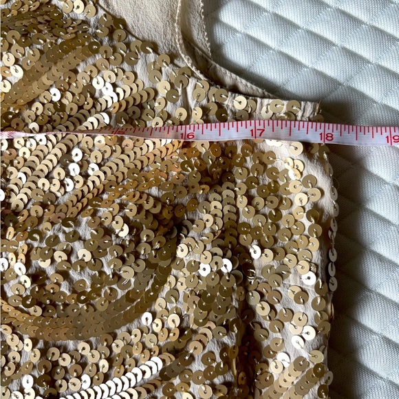 BCBG Maxazria sequence top with sheer detail S/M - Picture 4 of 4